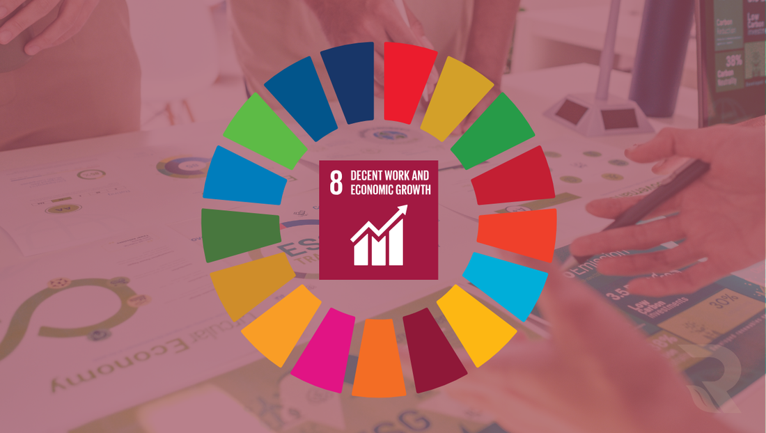 Rebaaz & SDG 8 (Decent Work and Economic Growth)