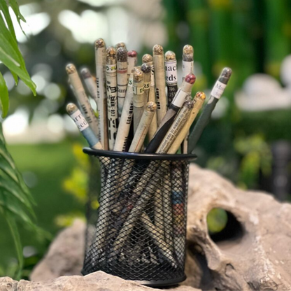 Eco Friendly Newspaper Pencils